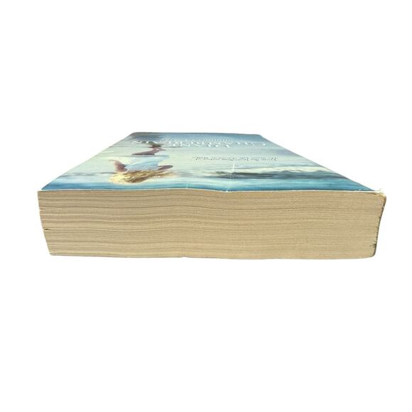 Summer's Child by Diane Chamberlain (Paperback) - Picture 6 of 6